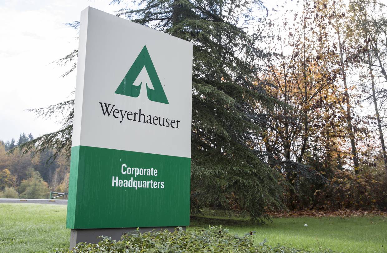 TRIO Flatmount and Weyerhaeuser: Scaling Starlink Across Connected Forests
