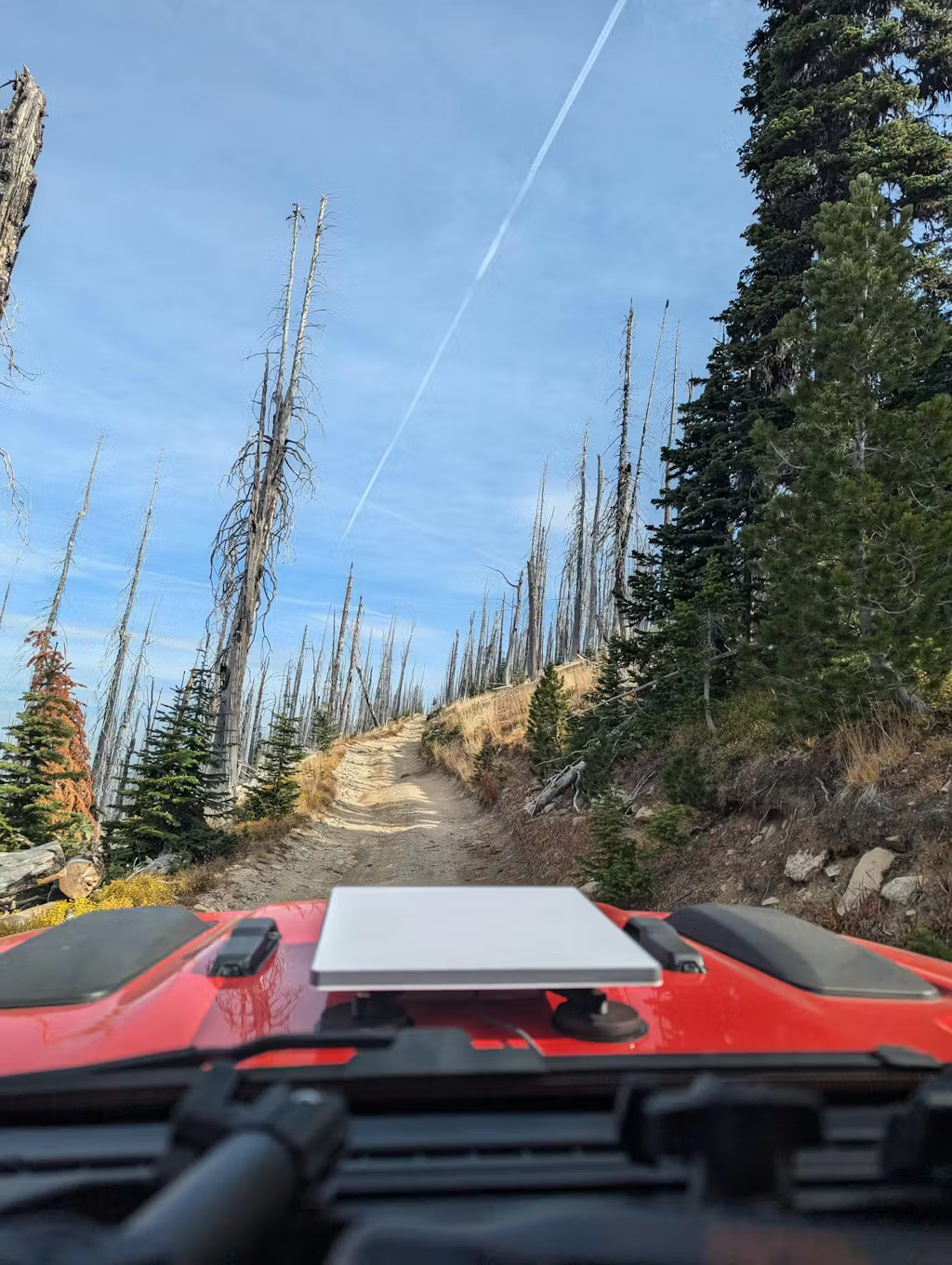 Essential Adhesive Kit - Mini Flatmount