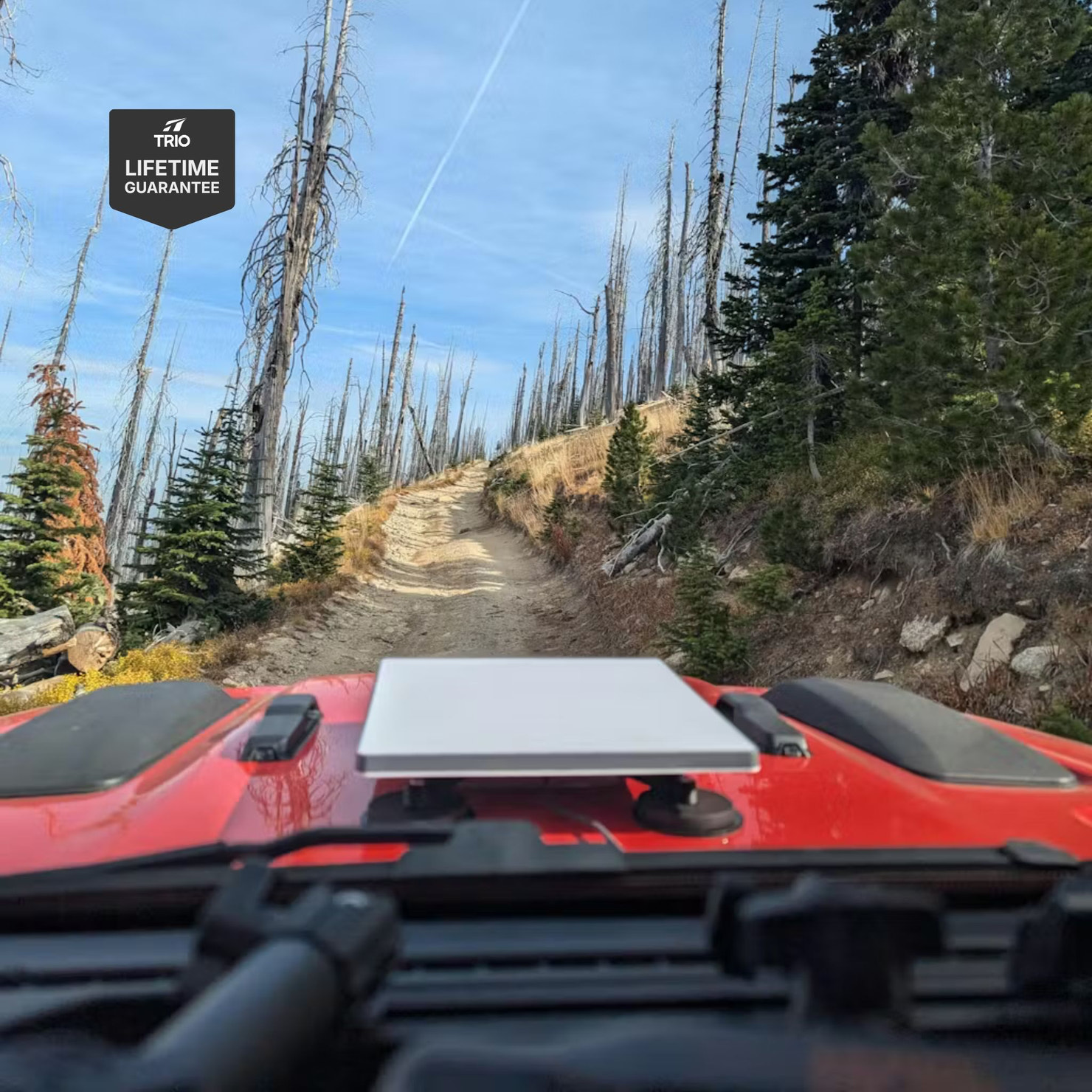 Essential Adhesive Kit - Mini Flatmount