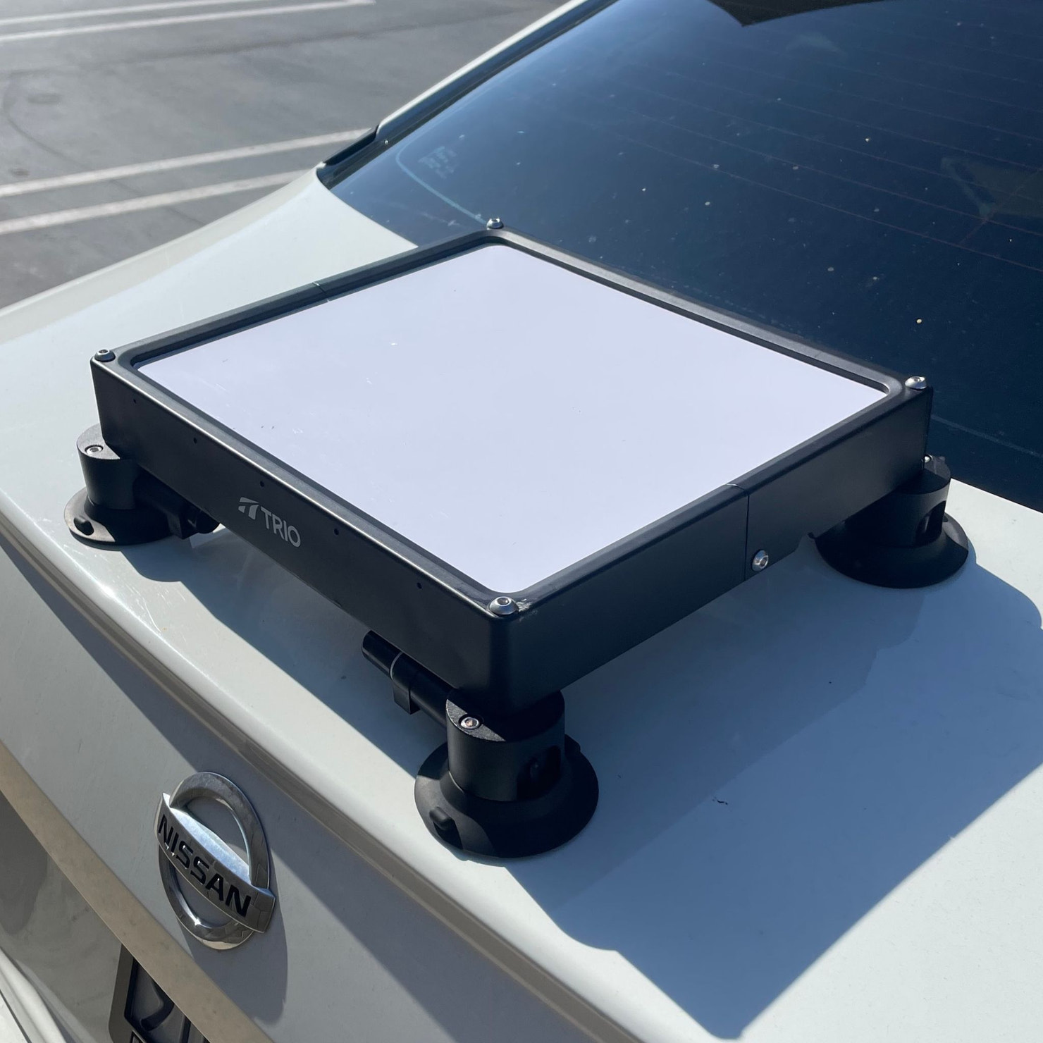 Standard Suction Cups